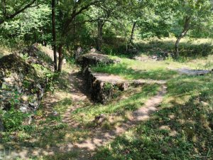 IMG_20220807_130345.jpg