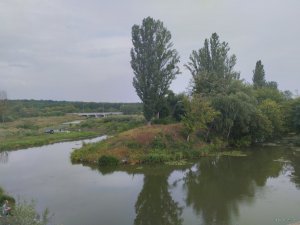 IMG_20220807_173723.jpg