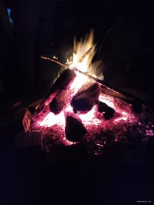 IMG_20220903_200454.jpg