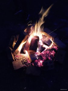 IMG_20220903_194149.jpg
