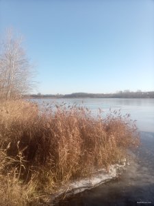 IMG_20221206_131307.jpg