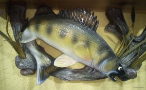 IMG_20221214_121818_118~2.jpg