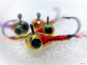6C0AB50E-7B97-422C-9788-2262E83BCF1E.jpeg