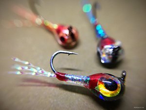 80129DFB-5BF6-488B-AAE1-FD5805CCE208.jpeg