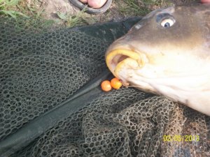 100_2887.JPG