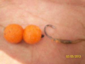 100_2888.JPG