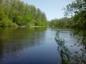 IMG_20130503_122915.jpg