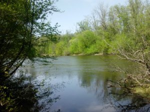IMG_20130503_122929.jpg