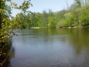 IMG_20130503_123049.jpg
