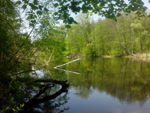 IMG_20130503_123430.jpg