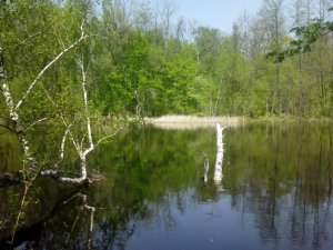 IMG_20130503_123536.jpg