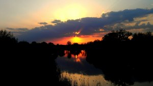 IMAG0772-1.jpg