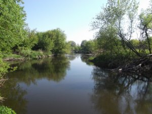 DSCF8396.JPG