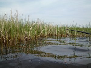 IMG064.jpg