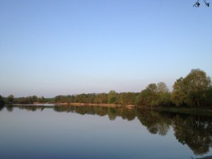 Копия IMG_1224-1.JPG