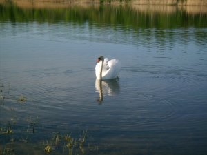 IMG_0223.jpg
