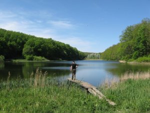 IMG_0909.JPG