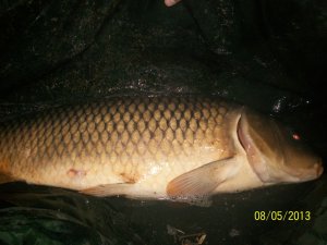 100_2971.JPG