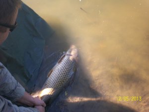 100_3025.JPG