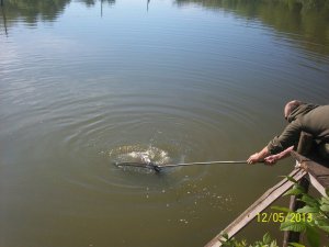 100_3029.JPG