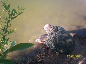 100_3036.JPG