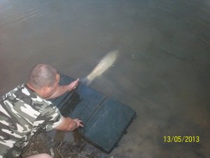 100_3057.JPG