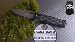 26451-1.jpg