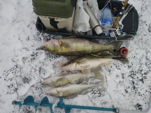 IMG_20230205_144708.jpg
