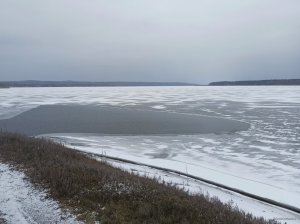 IMG_20230205_134753.jpg