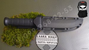 25231-3.jpg