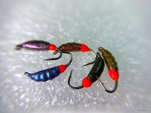 2C298F24-337B-4EEB-991D-81C121163A3D.jpeg