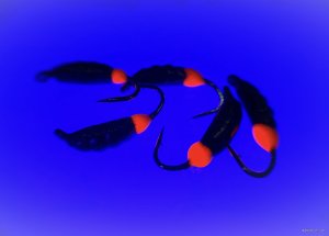 AE326BAF-ACBB-4F84-BD30-13859EFF35C0.jpeg
