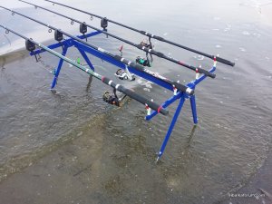 11(Rod_Pod_4_carp).jpg