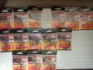 IMG_20230219_114036_617.jpg