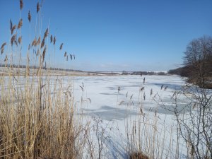 20230222_124113.jpg