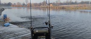 IMG_20221231_091627.jpg