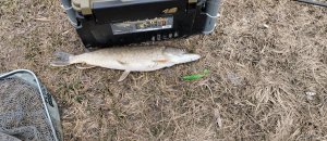 IMG_20230224_082757.jpg
