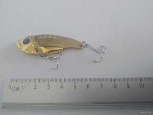 IMG_20230319_131313.jpg
