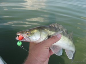 IMG_6790.JPG
