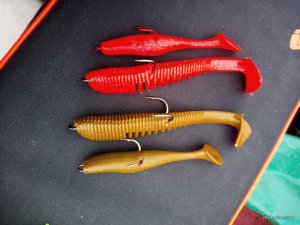 IMG_20221112_081734.jpg