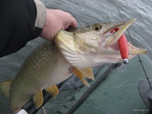 IMG_7603.JPG