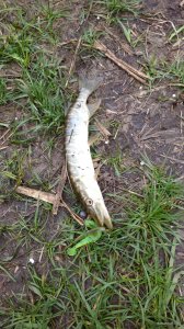 IMG_20230430_161419.jpg