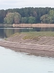 20230504_193036.jpg