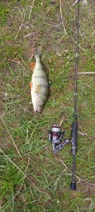 IMG_20230513_153133.jpg