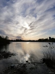 IMG_20230417_175551.jpg