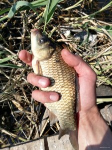 IMG_20230520_094148.jpg