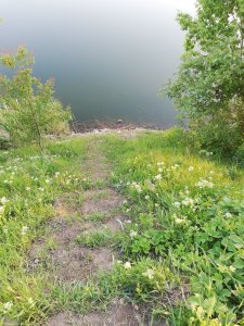 IMG_20230520_052408.jpg