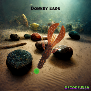 Donkey Ears - копия.png