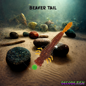 Beaver Tail.png