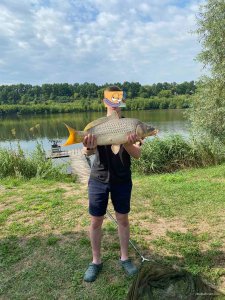 IMG_4313.jpeg